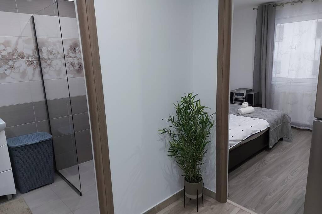 Hidden Apartment 미에르쿠리에씨우크 외부 사진